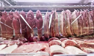 ccarne