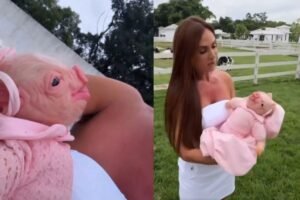Imagens coloridas de Nicole Bahls com boneca reborn formato de porco