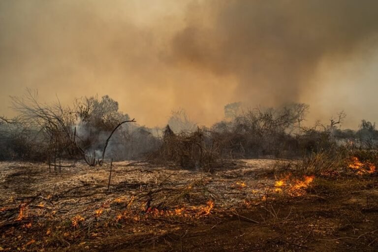cgu-ve-risco-de-colapso-em-orgao-que-monitora-queimadas-e-desmatamento