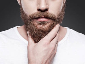 barbas-podem-ter-mais-bacterias-que-vasos-sanitarios?-especialistas-esclarecem