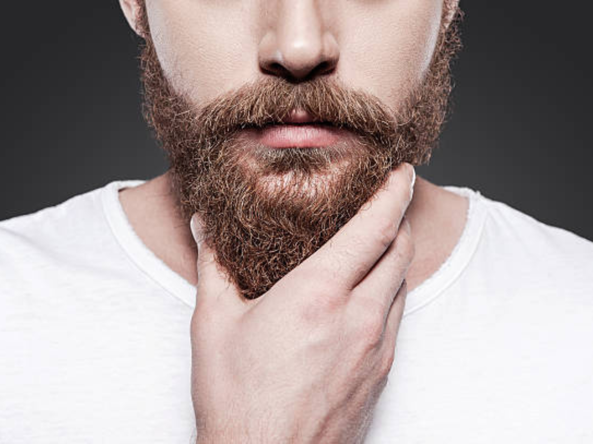 barbas-podem-ter-mais-bacterias-que-vasos-sanitarios?-especialistas-esclarecem