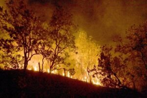 pf-ja-abriu-60-inqueritos-de-incendios-criminosos-em-2025