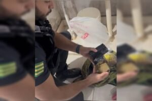 Ícone de sino para notificações