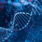 EM BAIXACom menos de 1%, Acre figura entre estados com menor acesso a bolsas do CNPq