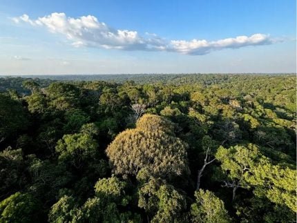 congresso-derrota-governo-e-reabre-brechas-no-licenciamento-ambiental