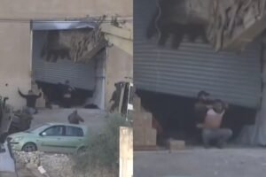 Ícone de sino para notificações