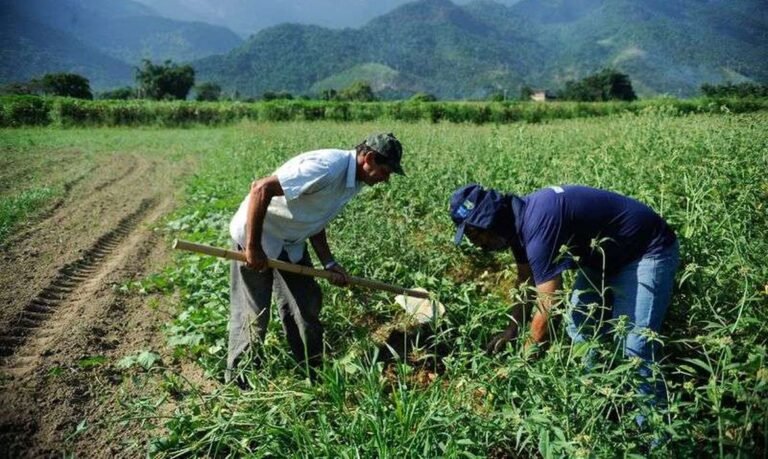 Prefeitura de Cruzeiro do Sul autorizou, nesta quinta-feira (11), a abertura de crédito adicional especial de R$ 200 mil para agricultura familiar.