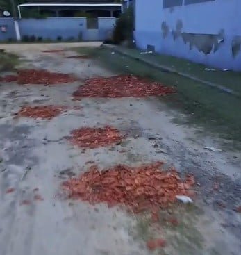 Moradores tapam buracos com tijolos após promessa não cumprida