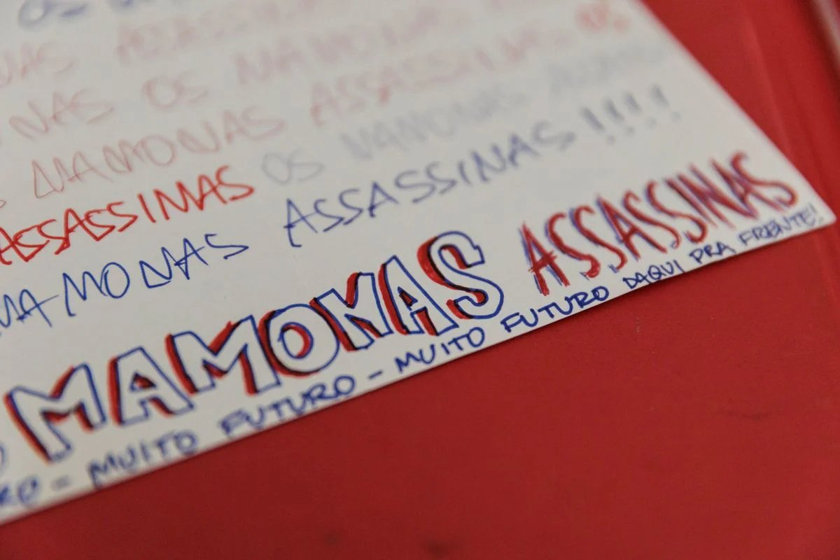 Cinzas dos Mamonas são unidas a sementes de árvores em nova homenagem - imagem 17 Cinzas dos Mamonas são unidas a sementes de árvores em nova homenagem - imagem 17