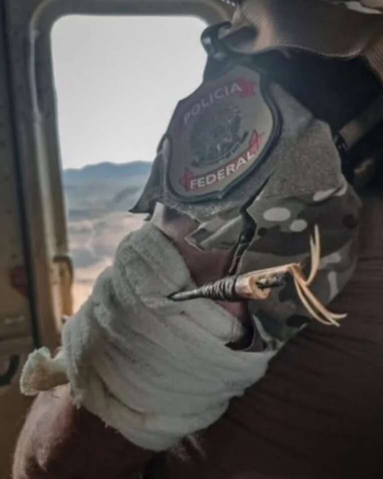 Policial federal é atingido por flecha em operação contra garimpo ilegal