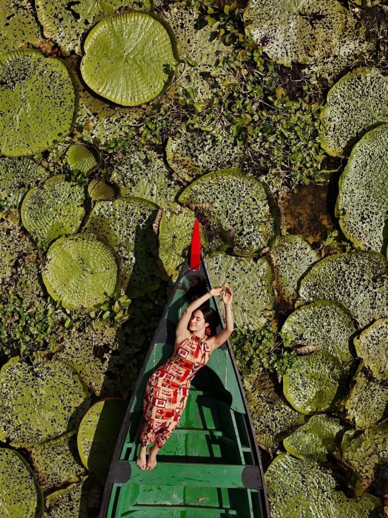 Ex-BBB Isabelle Nogueira exalta a Amazônia em nova trend de drones