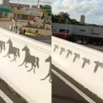 VÍDEOVocê viu? Vídeo revela efeito visual surpreendente no novo elevado de Rio Branco