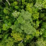 NO ACREAcre supera meta de controle do desmatamento e reduz área degradada em 43%