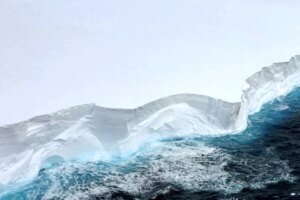 Ícone de sino para notificações