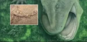 Fóssil raro encontrado no Nordeste revela animal pré-histórico apelidado de “ornitorrinco brasileiro”