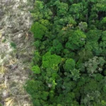 Acre registra menor índice de desmatamento da Amazônia Legal em fevereiro