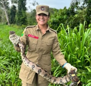 Bombeiros capturam jiboia de quase dois metros em quintal de residência