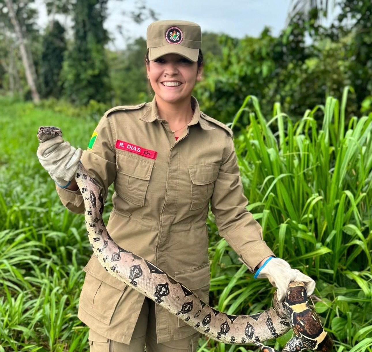 Bombeiros capturam jiboia de quase dois metros em quintal de residência