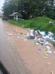 Vereadora denuncia lixo, alagamentos e falta de manutenção em ruas