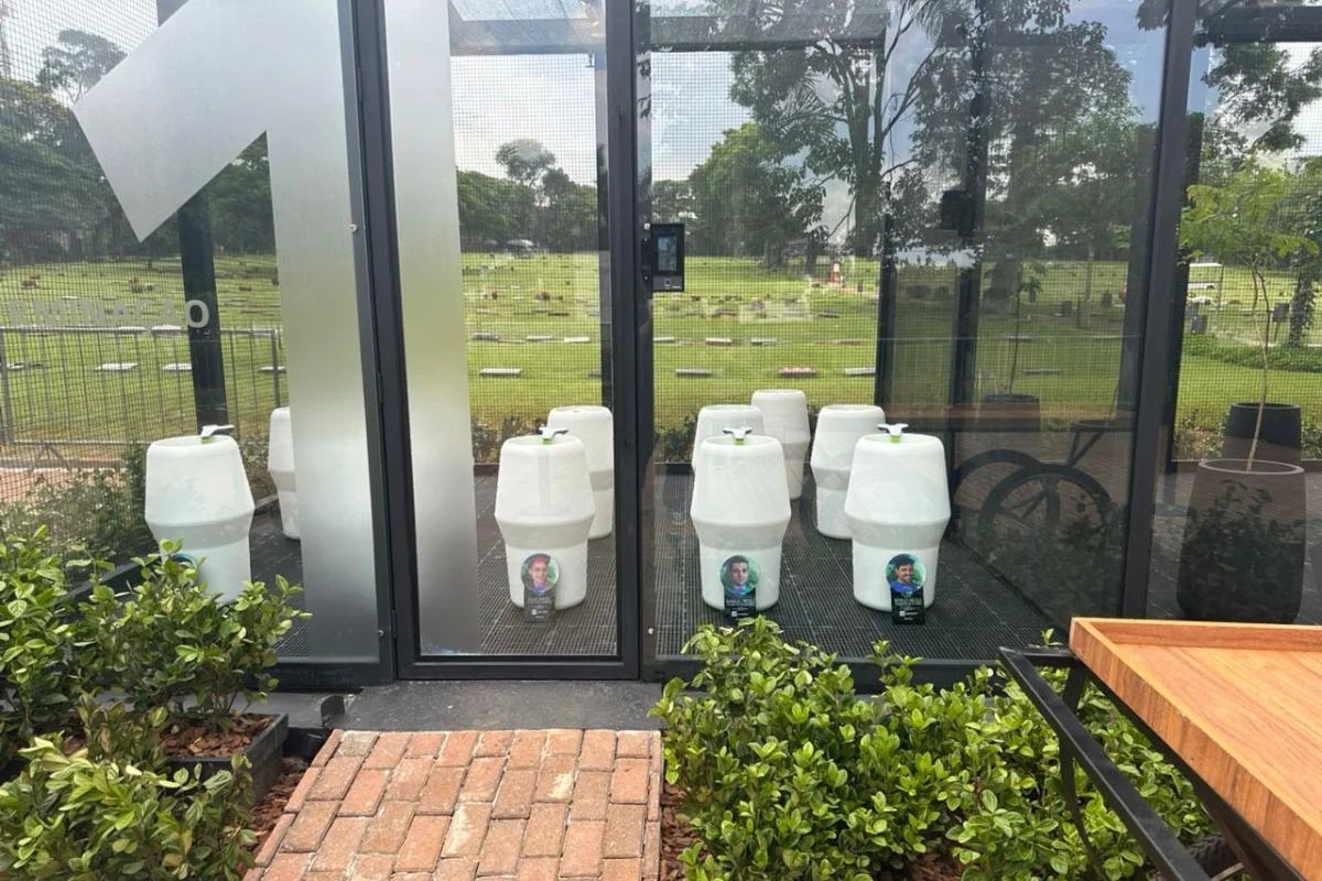 Urna com cinzas de integrantes dos Mamonas Assassinas unidas a sementes de jacarandá Urna com cinzas de integrantes dos Mamonas Assassinas unidas a sementes de jacarandá