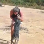 VÍDEONo Acre, mulher encontra cachorrinha desaparecida e vídeo comove nas redes sociais