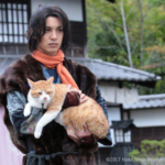 APROVEITECom entrada gratuita, Rio Branco recebe Mostra de Cinema Japonês neste final de semana