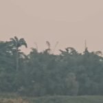 POLUIÇÃO DO ARAcre enfrenta picos de poluição do ar e níveis superam grandes centros mundiais