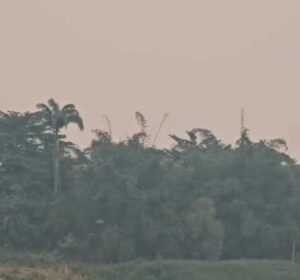 Acre enfrenta picos de poluição do ar e níveis superam grandes centros mundiais