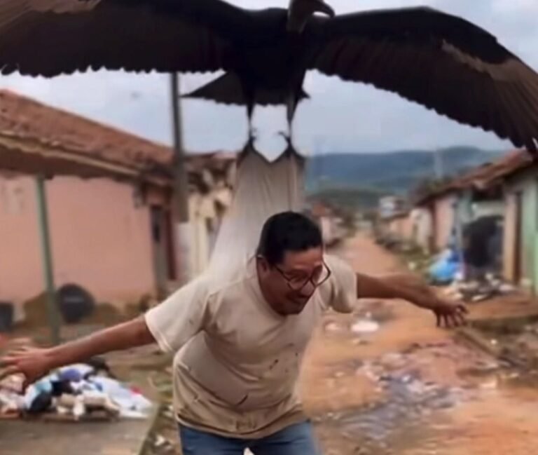 Vídeo inusitado: vereador é "levado" por urubu em protesto contra buracos