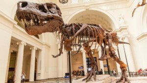 Ícone de sino para notificações