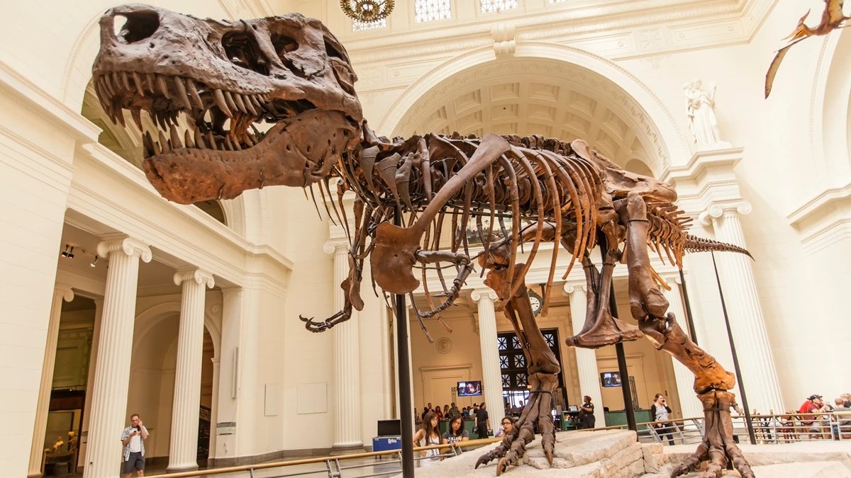 Ícone de sino para notificações