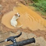 VEJAJovem expõe precariedade de ruas em Sena Madureira