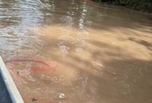 Após vazamento de óleo, moradores são orientados a não usar água de rio