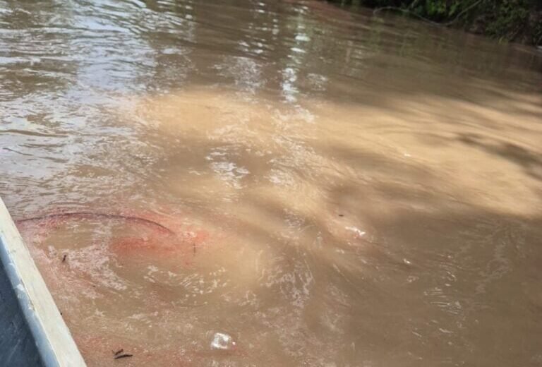 Após vazamento de óleo, moradores são orientados a não usar água de rio