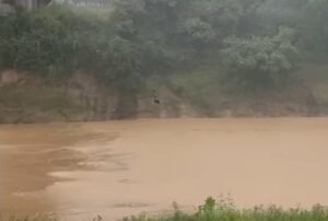 Jovens arriscam a vida ao pular de ponte durante chuva em Xapuri