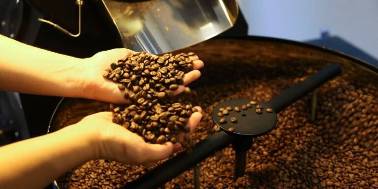 Café acreano ganha força e coloca o Acre em destaque na Amazônia