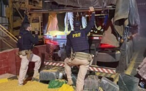 PRF realiza maior apreensão de cocaína do ano em carga de milho na BR-364