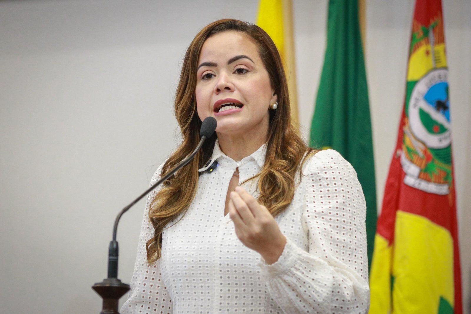 Deputada expõe crise na base e alerta sobre divisão: “Reino dividido”
