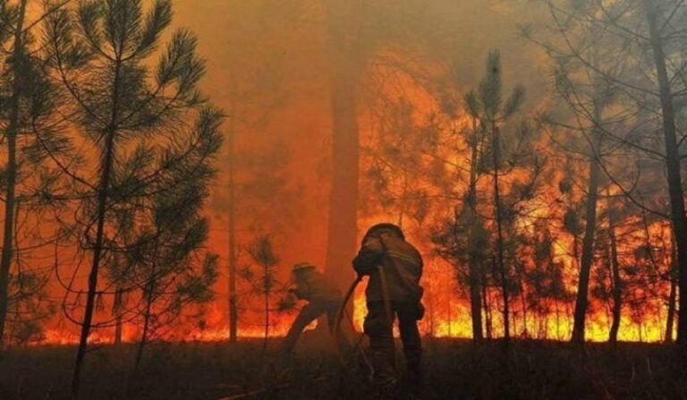 Força Nacional treina bombeiros do Acre contra incêndios florestais