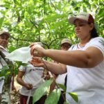 Seminário discute desafios de quem vive do agroextrativismo