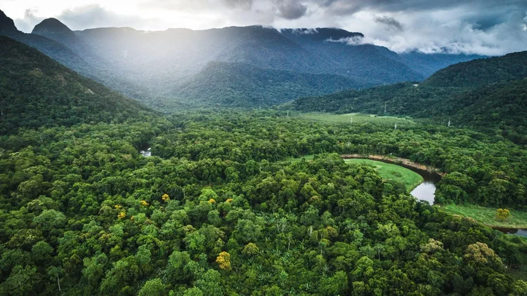 Mata Atlântica registra menor desmatamento da história em 2025