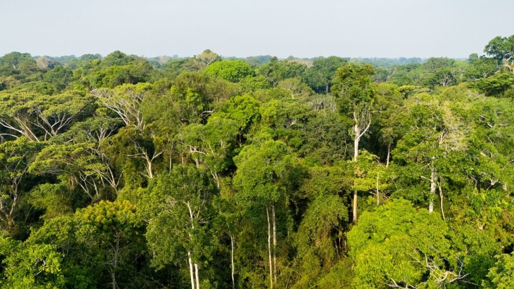 Três cidades do Acre integram rota estratégica do crime na Amazônia