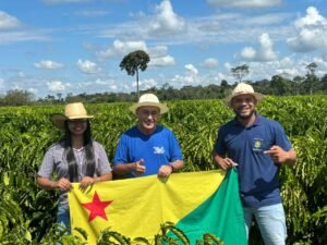Professores e alunos destacam aprendizado em cafezal de Bocalom