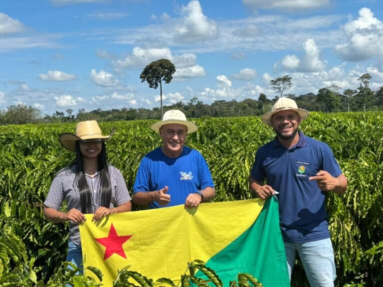 Professores e alunos destacam aprendizado em cafezal de Bocalom