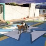 VIRALIZOUMarketeiro acreano transforma cena inusitada em fenômeno nacional nas redes