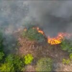 DEU PRAZOSTF dá 30 dias para Acre ajustar plano de prevenção e combate a incêndios florestais