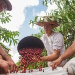 VEJAAcre prorroga prazo para patrocínio do 4º Concurso de Qualidade do Café