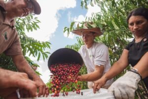 Acre prorroga prazo para patrocínio do 4º Concurso de Qualidade do Café