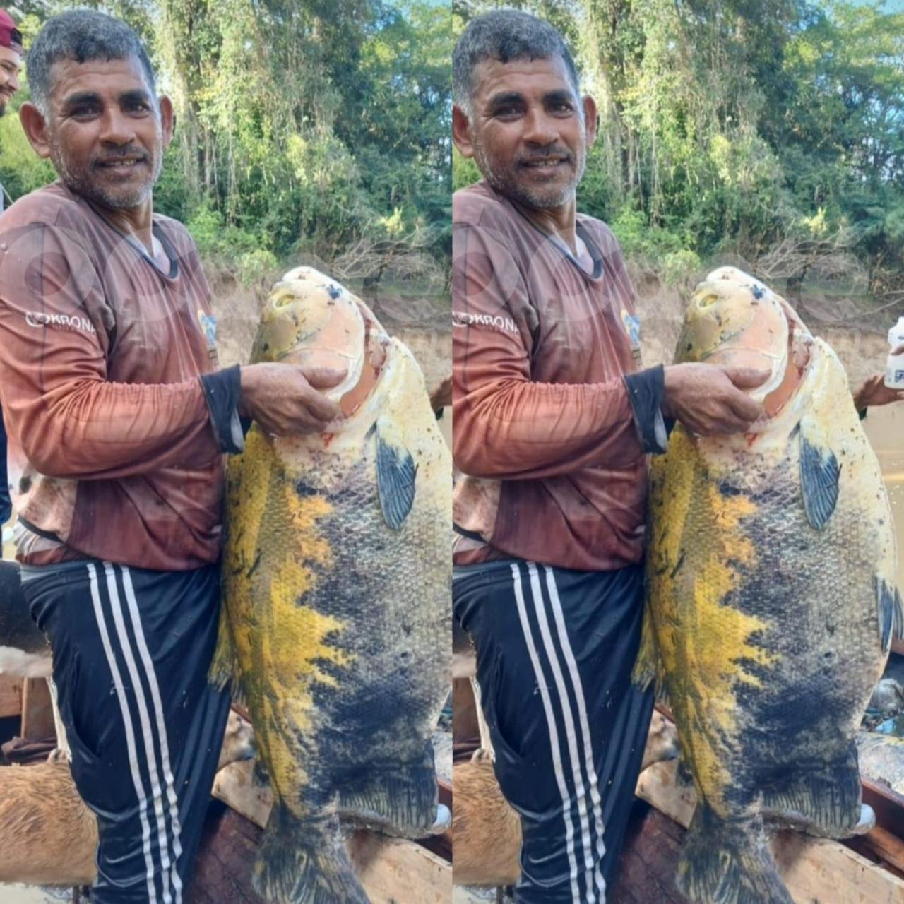 Pescador captura tambaqui gigante em rio no Acre: “É muito grande”