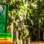 Parque Chico Mendes será fechado para revitalização; saiba mais